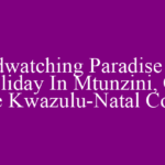 Birdwatching Paradise – A Holiday In Mtunzini, On The Kwazulu-Natal Coast