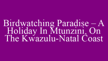Birdwatching Paradise – A Holiday In Mtunzini, On The Kwazulu-Natal Coast